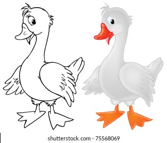 Similar Images, Stock Photos & Vectors of Almost white goose