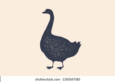 Goose, bird. Concept design of farm animals - Goose side view profile. Isolated black silhouette goose on white background. Vintage retro print, poster, icon. Illustration