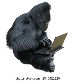 158 Code monkey Images, Stock Photos & Vectors | Shutterstock