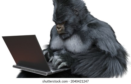 158 Code monkey Images, Stock Photos & Vectors | Shutterstock