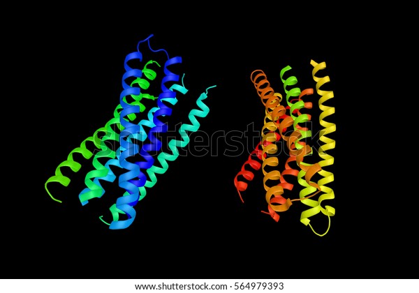 Gp41, also known as glycoprotein 41,\
a subunit of the envelope protein complex of retroviruses,\
including human immunodeficiency virus (HIV). 3d\
rendering.