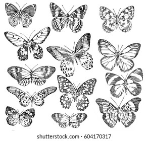 Graceful Butterflies Technique Graphics Butterfly Motifs Stock ...