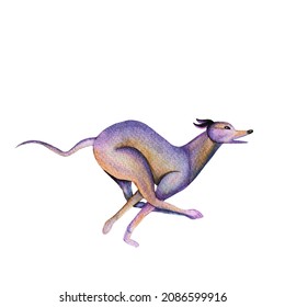 Graceful Running Greyhound, Watercolor Illustration With Pet In Soft Purple And Beige Colors. Hand Drawn Whippet In Motion, Colorful Puppy Icon, Skinny Dog Breed Art Print For Dog Lovers.