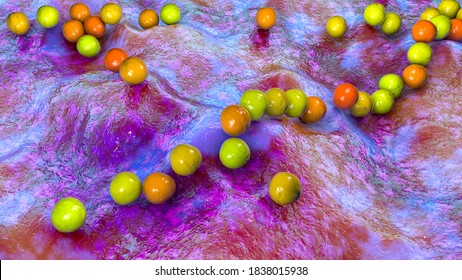 Gram-positive Bacteria Streptococcus, S. Pyogenes, S. Agalactiae And Other Streptococci, The Causative Agents Of Scarlet Fever And Other Infections, 3D Illustration