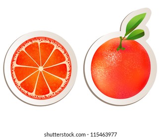 Grapefruit Illustration On White Stock Illustration 115463977 ...