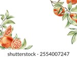 Grapefruit tree branch and citrus fruits corner border by watercolor on isolated background. Fresh summer frame with ripe citrus plant, leaves hand drawn botanical sketch for packaging, invitation.