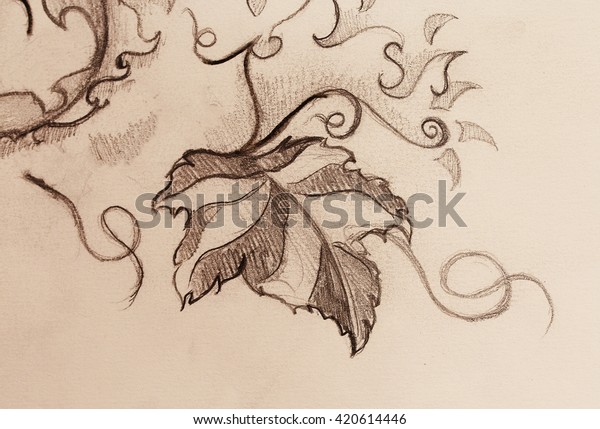 grapevine\
leaves. Drawing on paper, ornamental\
structure.