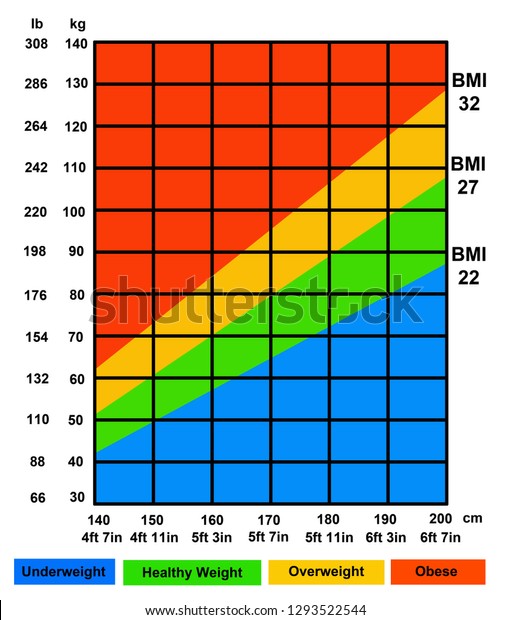 Graph Interpretation Body Mass Index Bmi Stock Illustration 1293522544