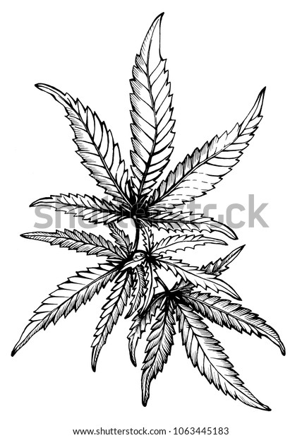Шнур марихуана в краснодаре семена конопли