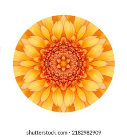 Graphic Design Of A Yellow And Orange Flower In A Cirlce. There Is A White Background.