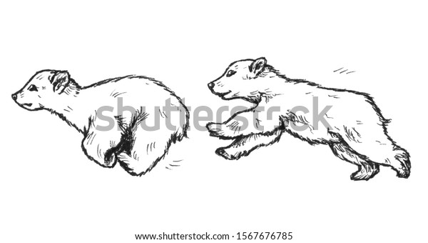 Graphic Drawing Two Running Bear Cubs Stock Illustration