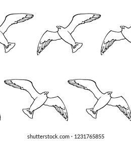 Graphic Hand Drawn Pattern Gull Seagull Stock Illustration 1231765855 ...