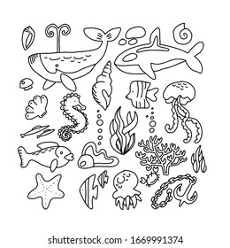 Sea Creatures Outlines Images, Stock Photos & Vectors | Shutterstock