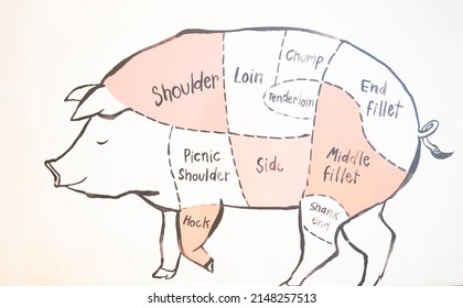The graphic shows the meat and muscle parts of a pig that is used for cooking.