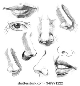 Graphic Sketches Of Facial Features