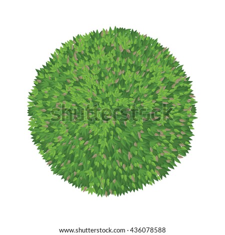 Graphic tree plan or tree top view for landscape design project.