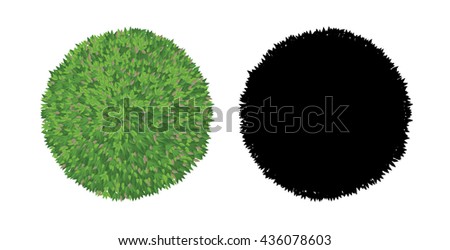 Graphic tree plan or tree top view for landscape design project.