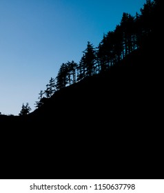 Graphical Silhoutte Of Trees Running Down Ridge Toward The Ocean At Ecola Park In Oregon