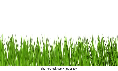 grass 4