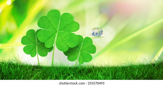Fourleaf Clovers Grass Against Blurred Natural Stock Photo 