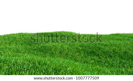 Grass background, fresh green fields, isolated on white background. 3d illustration