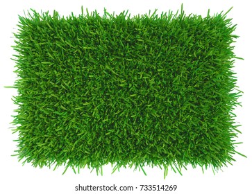 Grass Background Texture. Fresh Grass. 3d Rendering