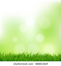 Grass And Bokeh 