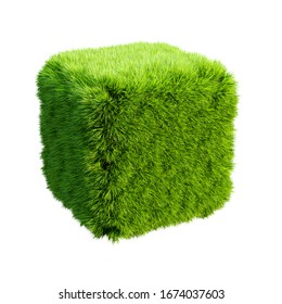 Grass Cube Isolated. 3d Rendering Illustration