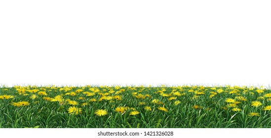 Grass Flowers Isolated Background 3d Illustration Stock Illustration ...