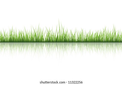 Grass illustration