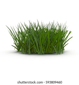 Grass isolated on white. 3D illustration - Shutterstock ID 593809460