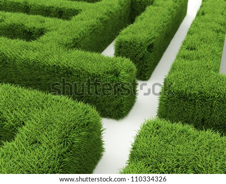 Grass maze