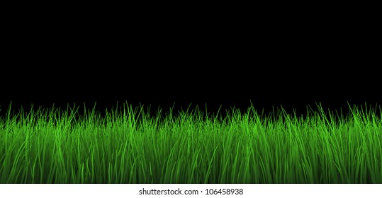 Grass On Black Background Images, Stock Photos & Vectors | Shutterstock