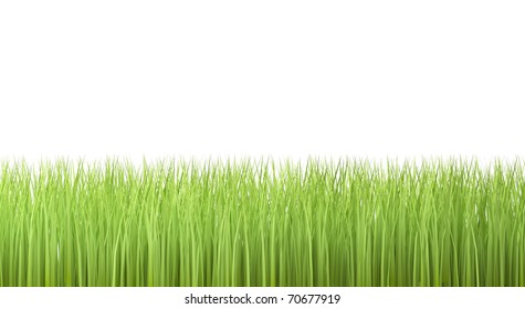 Grass On White Background Stock Illustration 70677919 | Shutterstock