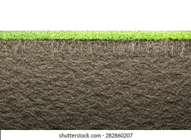 Grass With Roots And Soil 