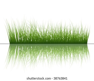 Grass silhouettes background with reflection in water