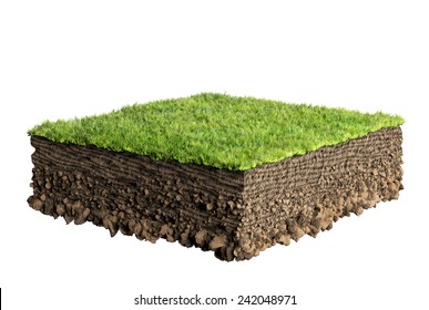 Grass And Soil Profile 