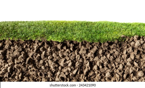 Grass And Soil Profile 