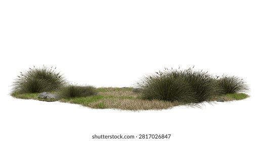 grassy arefeatures several small shrubs and rocks. scene displays greenery, with mix of short and tall grass and shapes of shrubs. This is set against plain white background. 3d render