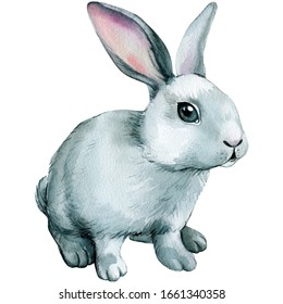 31,791 Watercolor Bunny Images, Stock Photos & Vectors | Shutterstock