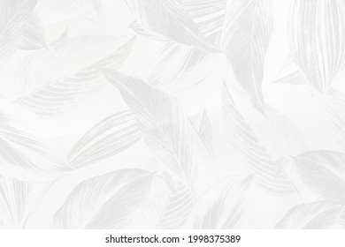 Gray Calathea Lutea Leaf Patterned Background 