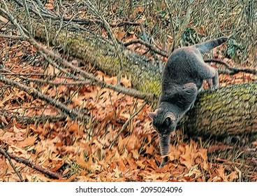 Gray Cat Jumping Off A Fallen Tree, Illustration 