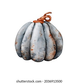 Gray pumpkin close-up isolated on white background. Hand drawn watercolor illustration. Product design on the theme of golden autumn and happy Halloween, food and menu - Powered by Shutterstock