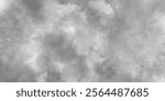 gray sky background. white and gray isolated clouds. smoky fog texture. white paper texture background. cement wall texture. Abstract black and white silver ink effect clouds.

