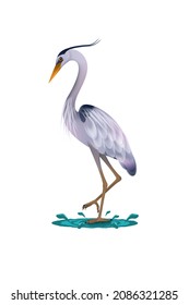 The Great Blue Heron Illustration