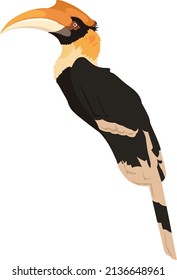 Great Hornbill Perched And Watching Illustration