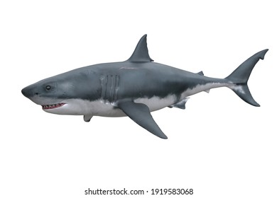 Great White Shark. 3D Render Isolated On White.