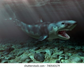 Great White Shark
Computer generated 3D illustration