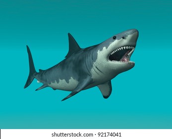 Great White Shark Computer generated 3D illustration