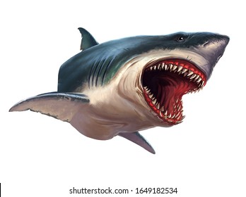 Great White Shark On A White Background Head. Sliced Head Of A Great White Shark.